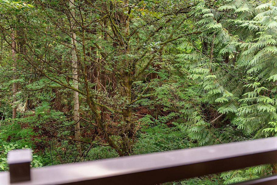 205 3294 Mt Seymour Parkway North Vancouver, BC - 6
