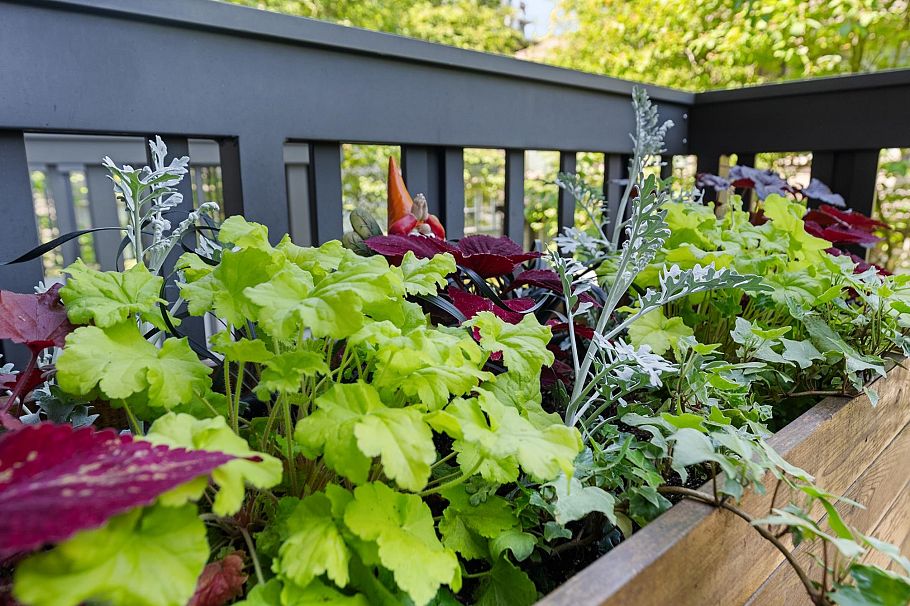 3 307 E 15th Street North Vancouver, BC - 23