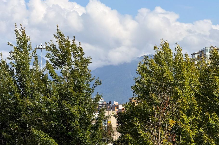 502 120 Milross Avenue Vancouver, BC - 29