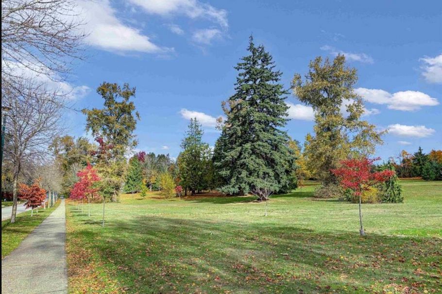 8295 Angus Drive Vancouver, BC - 1