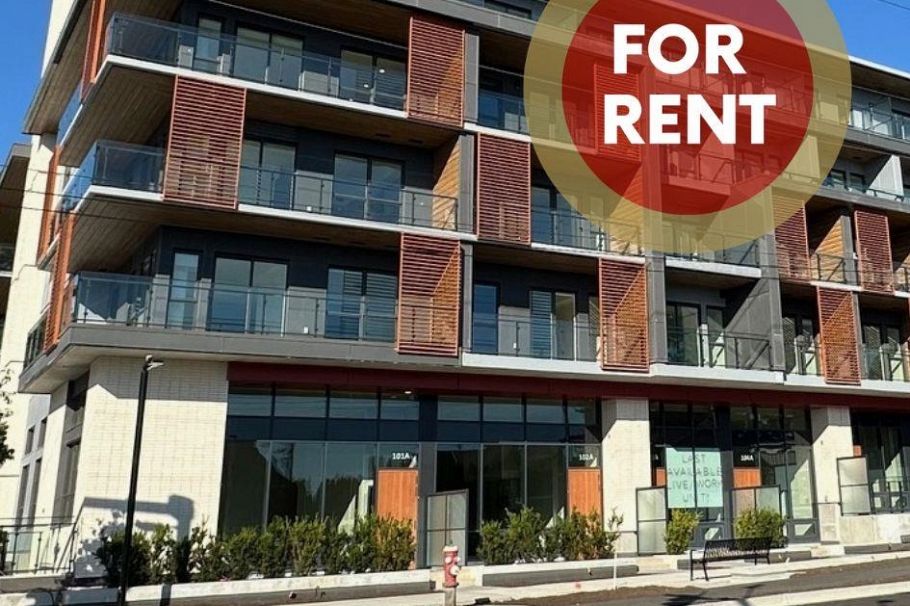 667 422 E 3RD STREET, North Vancouver BC V7L 0K1 North Vancouver, BC - 1