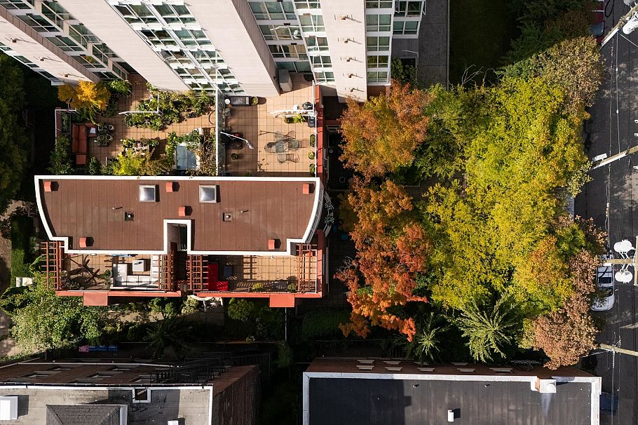 109 1111 Haro Street Vancouver, BC - 29