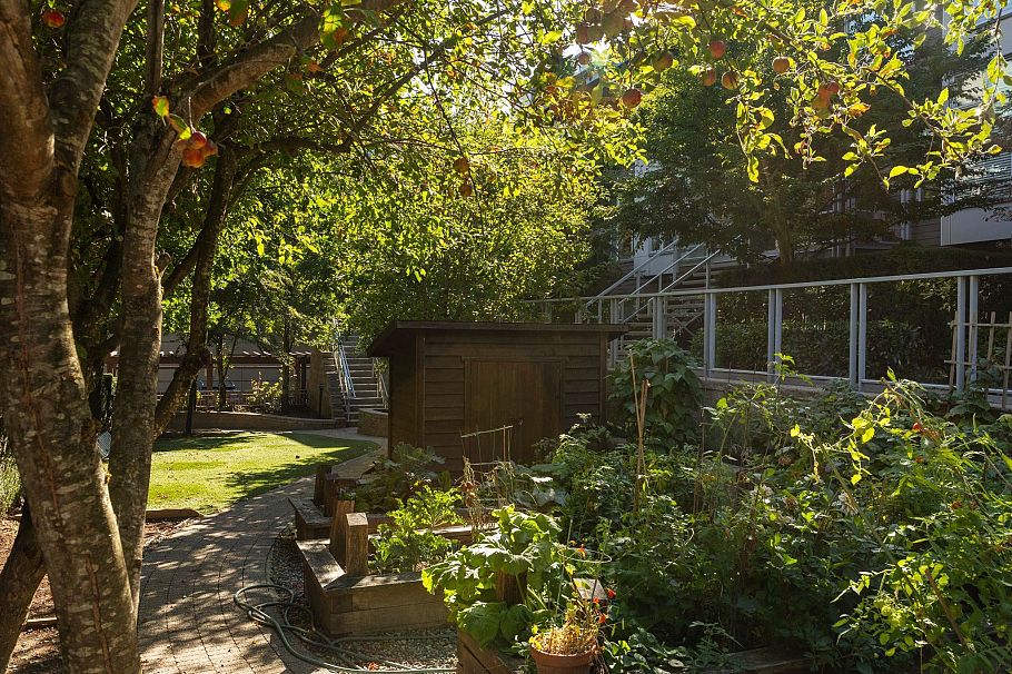 234 735 W 15th Street North Vancouver, BC - 36
