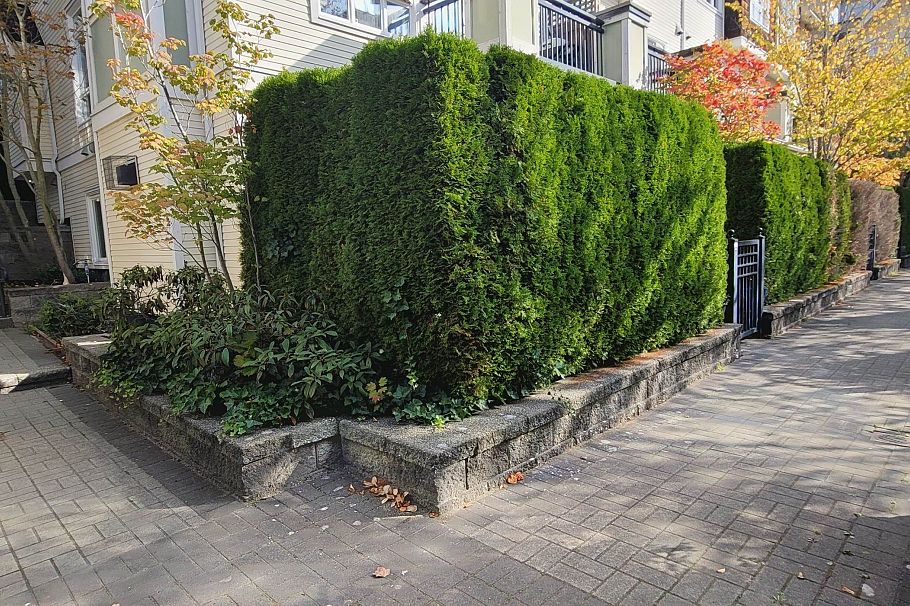 3238 E 54th Avenue Vancouver, BC - 8