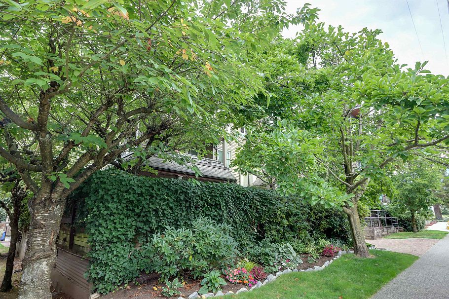 205 1535 Chesterfield Avenue North Vancouver, BC - 21