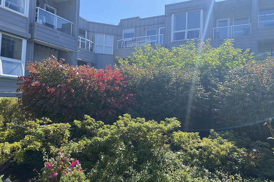 210 2891 E Hastings Street Vancouver, BC - 11