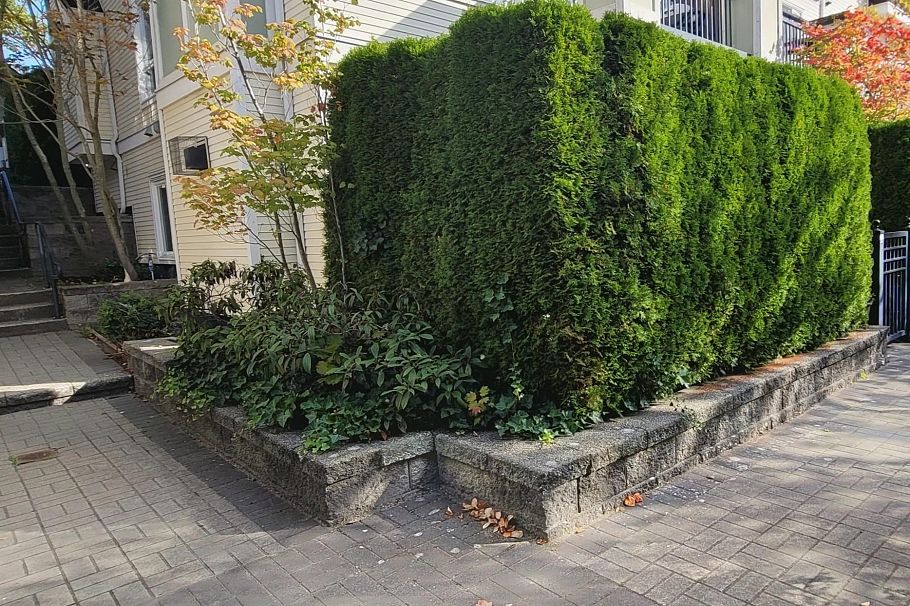 3238 E 54th Avenue Vancouver, BC - 25