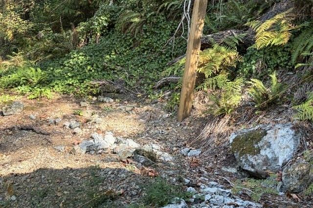 Block A Farrer Cove Belcarra, BC - 8