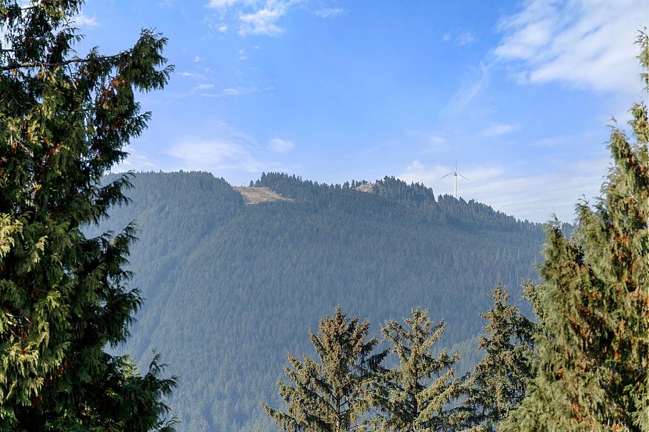 1952 Chesterfield Avenue North Vancouver, BC - 31