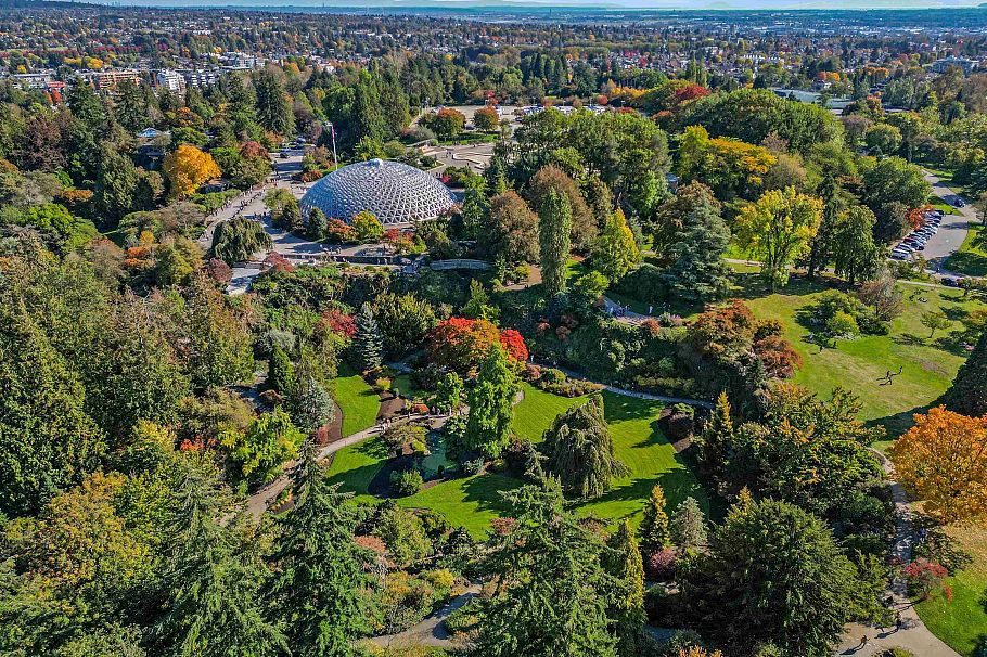 3500 Ash Street Vancouver, BC - 19