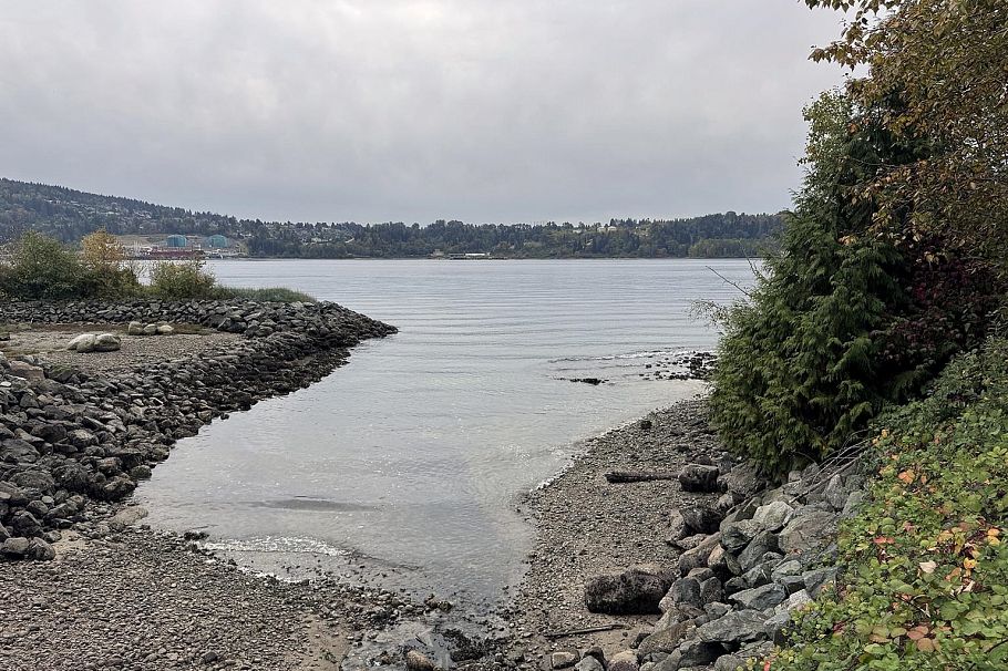 102 3873 Cates Landing Way North Vancouver, BC - 8