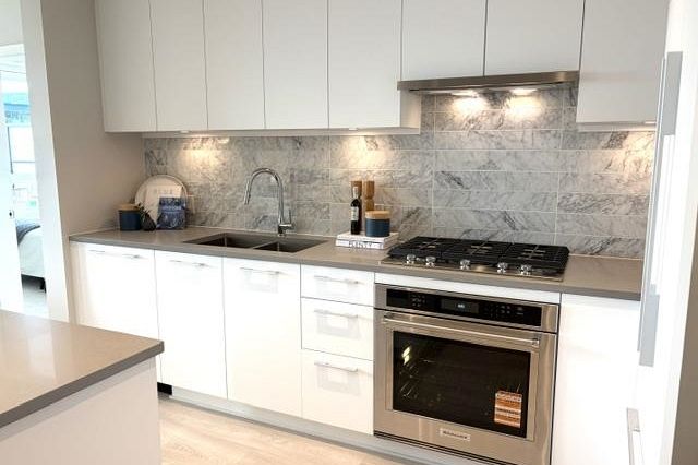 307 110 E 17th Street Vancouver, BC - 1