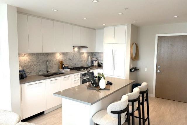 307 110 E 17th Street Vancouver, BC - 5