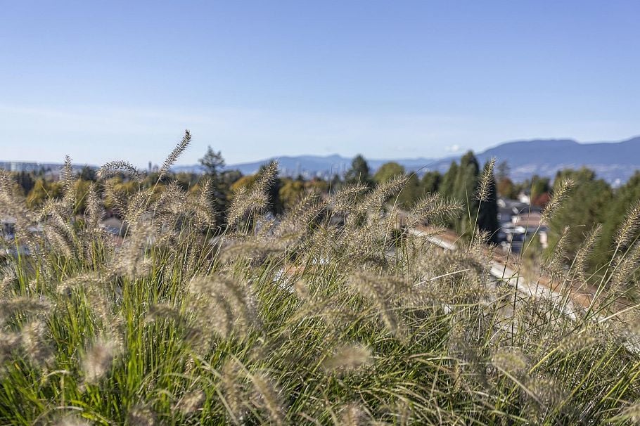 603 3264 Vanness Street Vancouver, BC - 28
