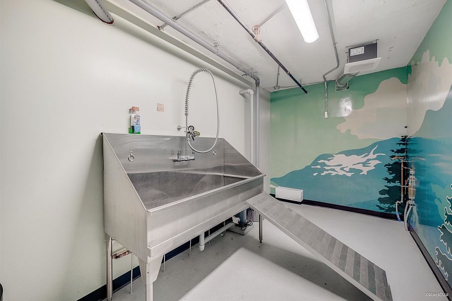 207 128 E 8th Street North Vancouver, BC - 21