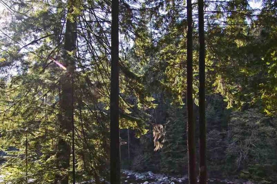 2101 Riverside Drive North Vancouver, BC - 6