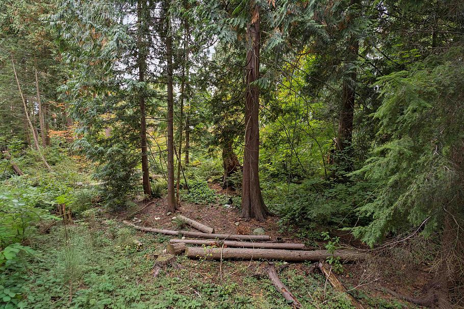 208 2375 Emery Court North Vancouver, BC - 24