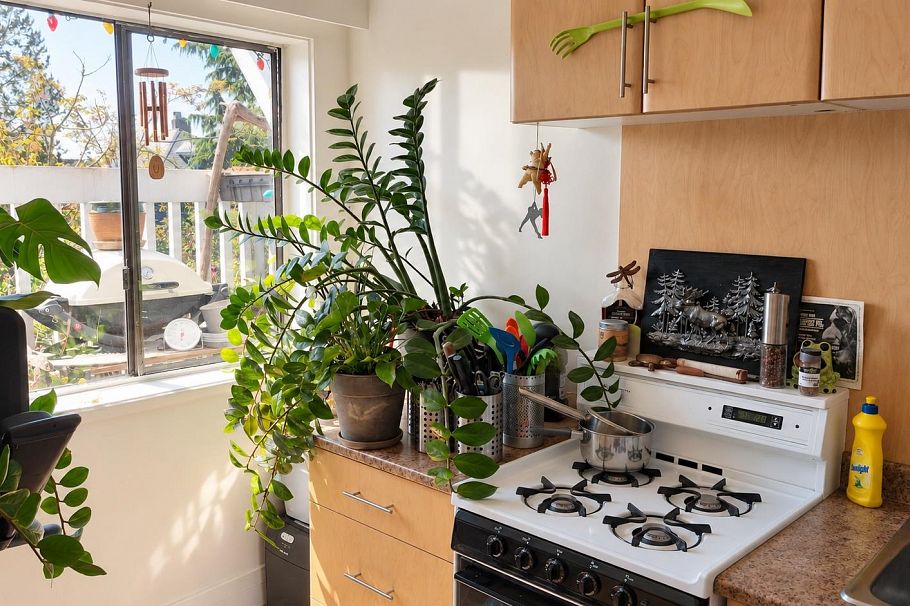 1951 Napier Street Vancouver, BC - 5