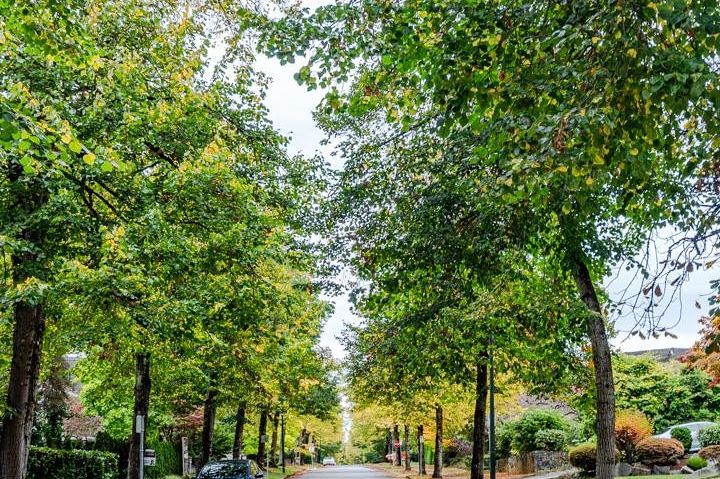 903 7228 Adera Street Vancouver, BC - 39