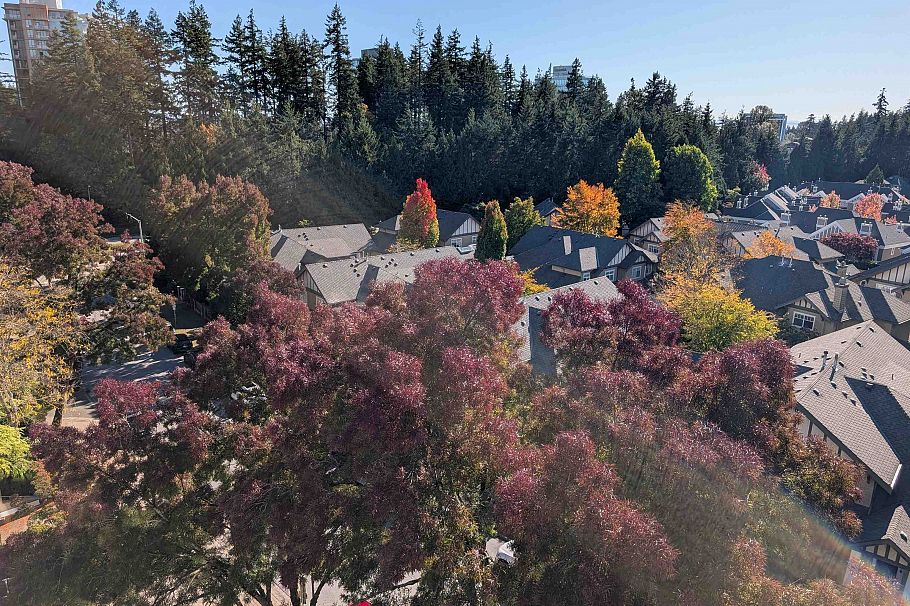 901 5615 Hampton Place Vancouver, BC - 38