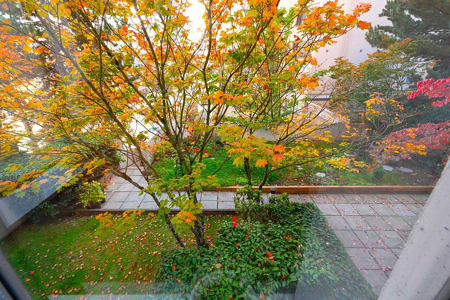 201 1127 Barclay Street Vancouver, BC - 14
