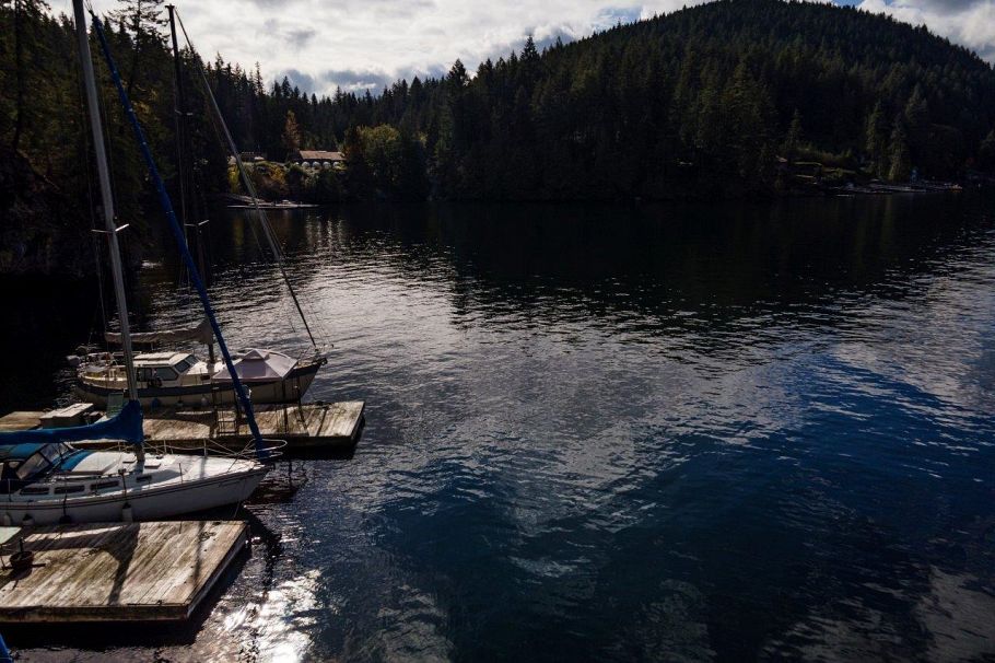 Block A Farrer Cove Belcarra, BC - 9