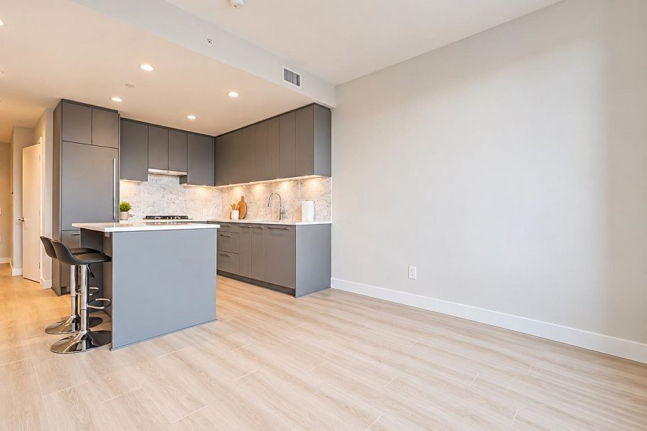 509 5380 Crooked Branch Road Vancouver, BC - 2
