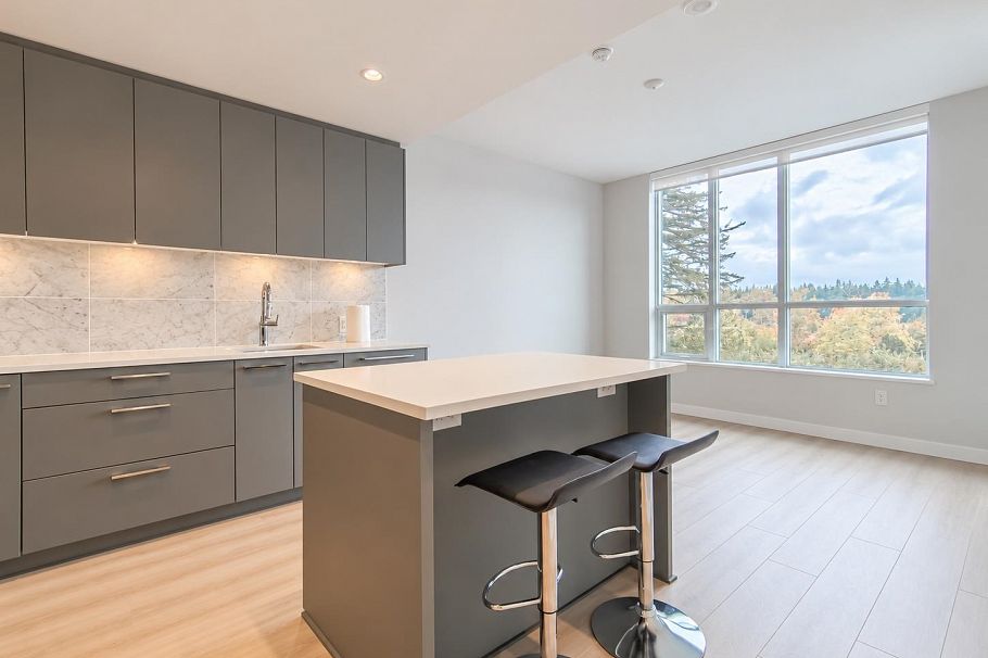 509 5380 Crooked Branch Road Vancouver, BC - 3