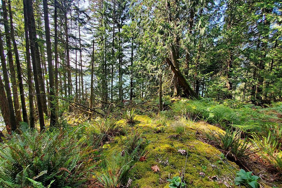 Block A Farrer Cove Belcarra, BC - 32