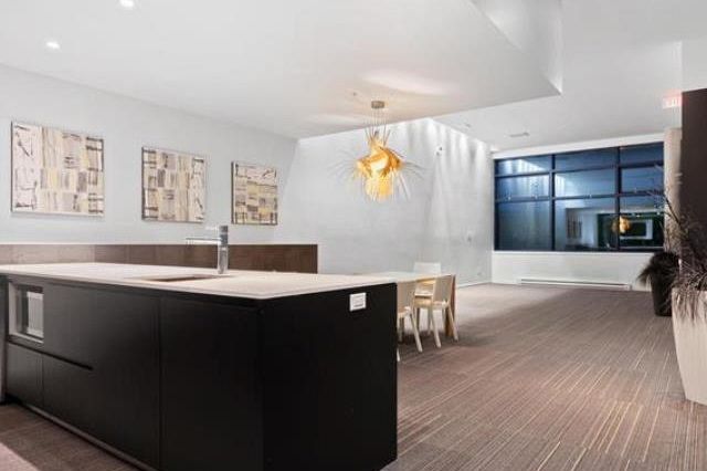 209 133 E 8th Avenue Vancouver, BC - 18