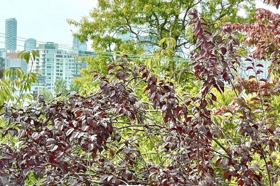 348 588 E 5th Avenue Vancouver, BC - 17