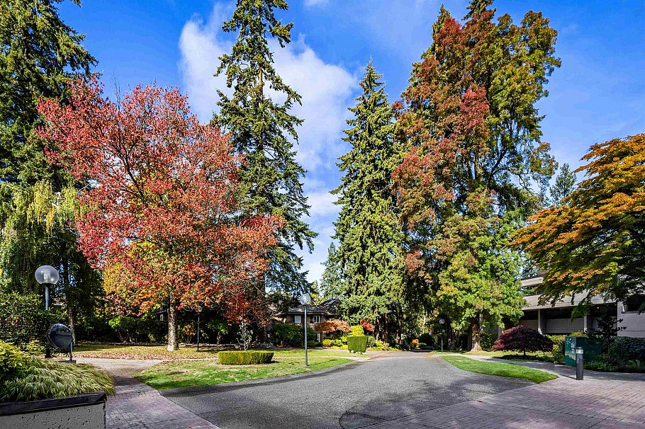 512 4900 Cartier Street Vancouver, BC - 1