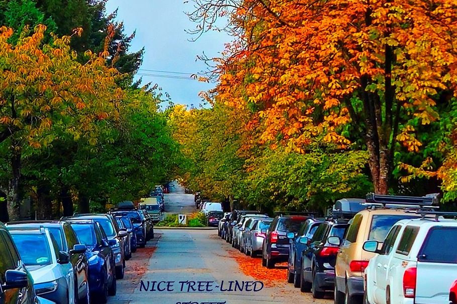 1055 E 11th Avenue Vancouver, BC - 38