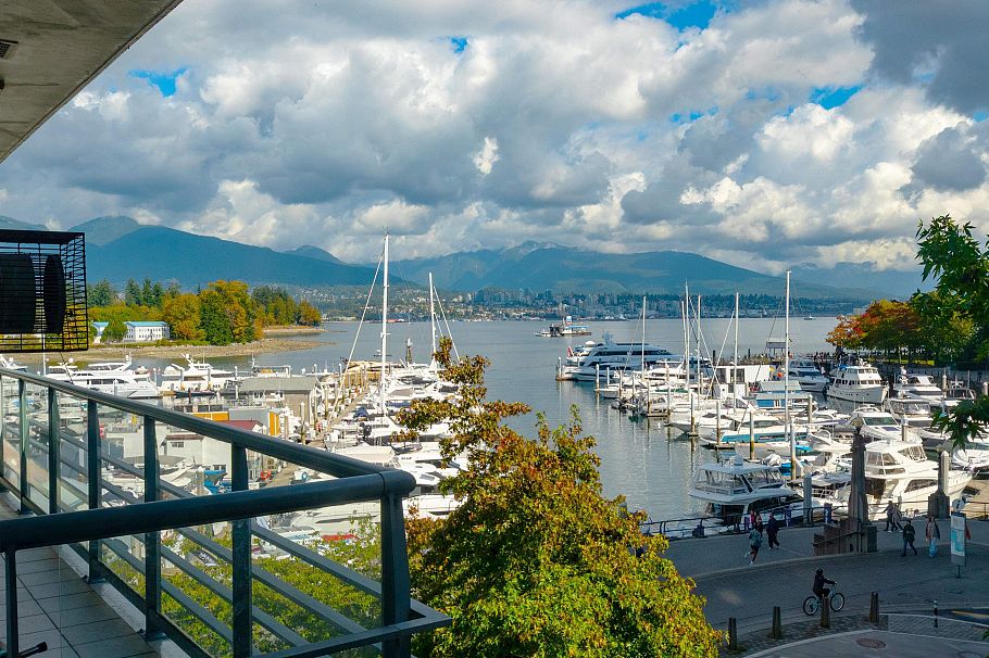203 499 Broughton Street Vancouver, BC - 9