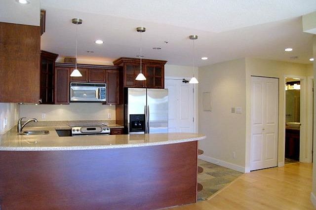 315 1869 Spyglass Place Vancouver, BC - 10