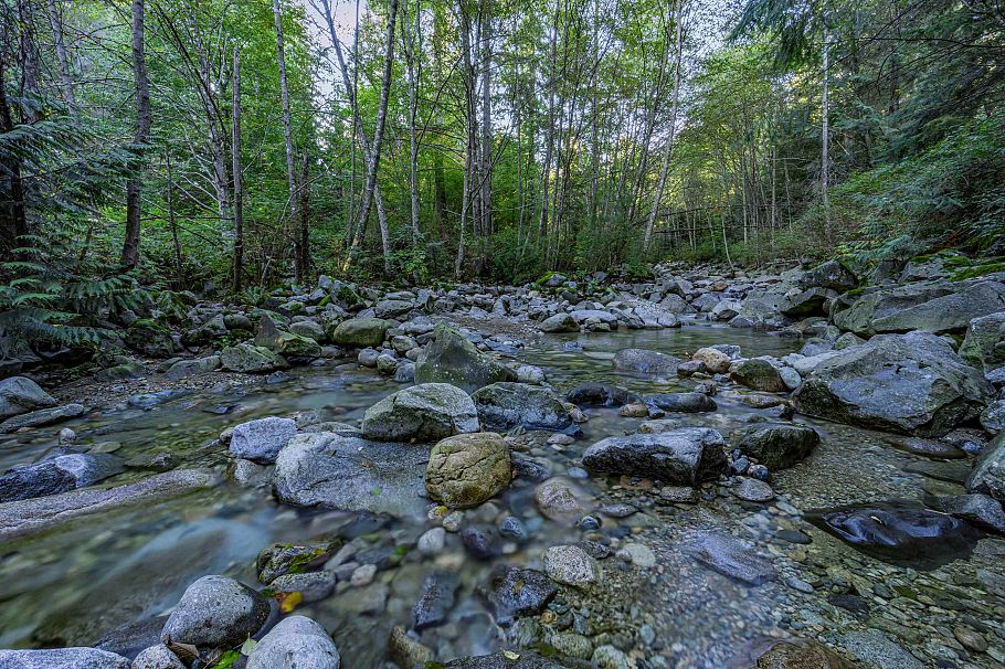 4324 Glencanyon Drive North Vancouver, BC - 29