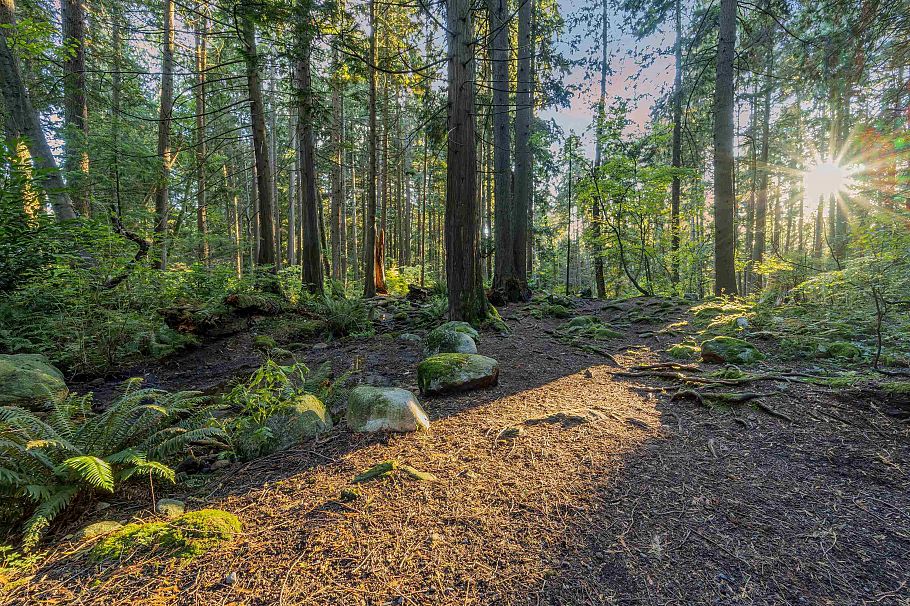 4324 Glencanyon Drive North Vancouver, BC - 30