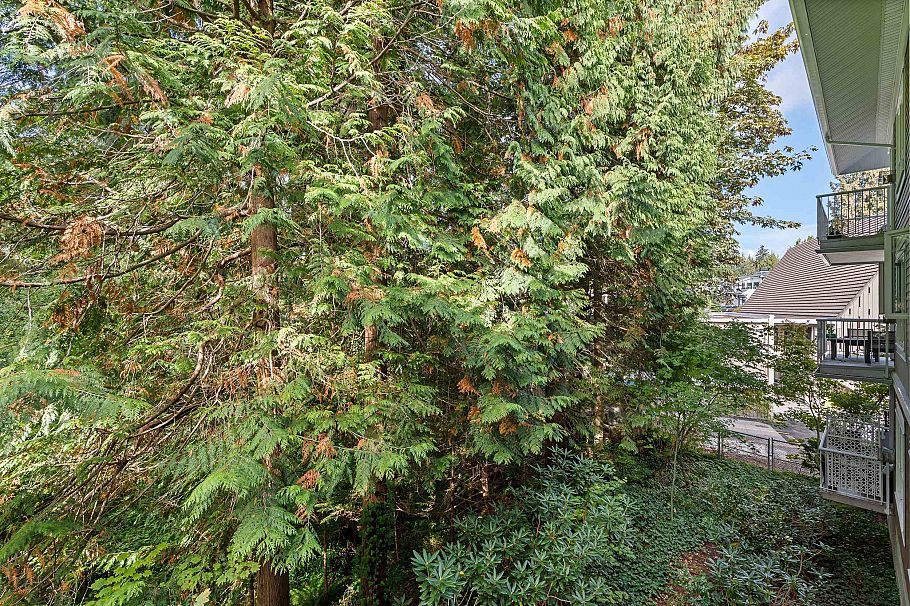 208 3151 Connaught Crescent North Vancouver, BC - 25