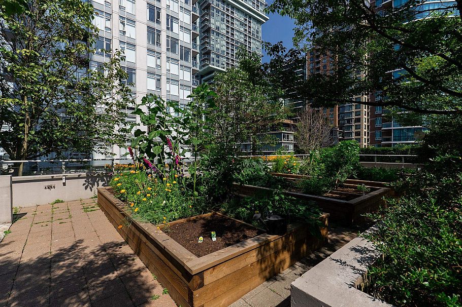 708 833 Homer Street Vancouver, BC - 36