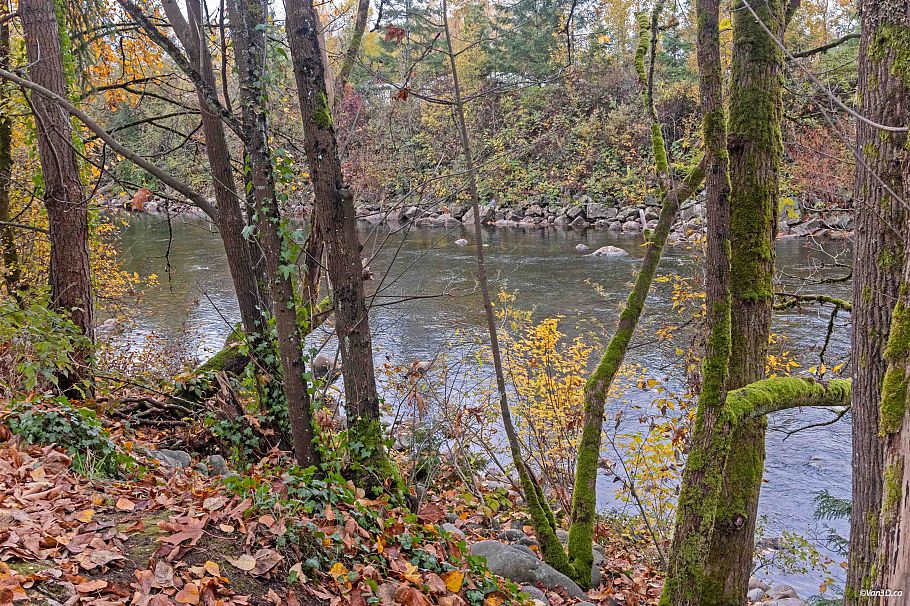 59 433 Seymour River Place North Vancouver, BC - 22