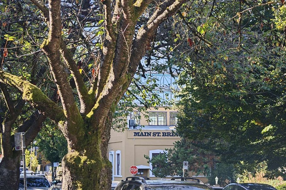 4 280 E 6th Avenue Vancouver, BC - 24
